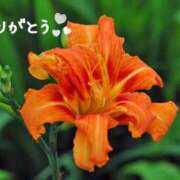 ヒメ日記 2026/08/21 18:43 投稿 ミライ【マダムコース】 秘密の出張部屋