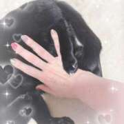 持田好美(もちだこのみ) 出勤情報 五十路マダムエクスプレス厚木店(カサブランカグループ)