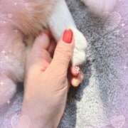 持田好美(もちだこのみ) 出勤情報 五十路マダムエクスプレス厚木店(カサブランカグループ)