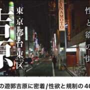 ヒメ日記 2026/05/10 13:49 投稿 井川 シャトーペトラ