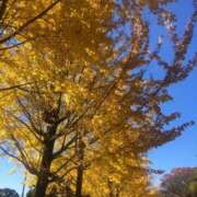 ヒメ日記 2025/01/05 15:05 投稿 まや 待ちナビ