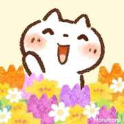 ヒメ日記 2025/03/22 10:55 投稿 まや 待ちナビ