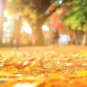 ヒメ日記 2025/12/12 16:25 投稿 まや 待ちナビ