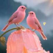 ヒメ日記 2026/01/17 11:15 投稿 まや 待ちナビ