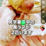 ヒメ日記 2026/01/17 11:40 投稿 まや 待ちナビ