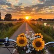 ヒメ日記 2026/01/19 16:20 投稿 まや 待ちナビ