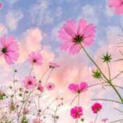 ヒメ日記 2026/03/01 18:25 投稿 まや 待ちナビ