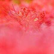 ヒメ日記 2026/03/02 19:42 投稿 まや 待ちナビ