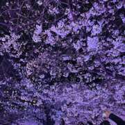 ヒメ日記 2025/03/30 20:07 投稿 みあ アラモード