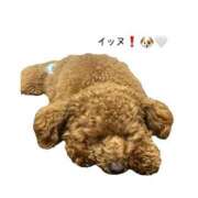 ヒメ日記 2025/05/13 14:11 投稿 みあ アラモード