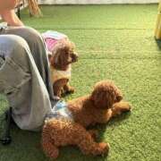 ヒメ日記 2025/08/31 10:49 投稿 みあ アラモード