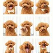 ヒメ日記 2025/10/03 08:42 投稿 みあ アラモード