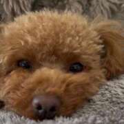 みあ 予定など⛄️ アラモード