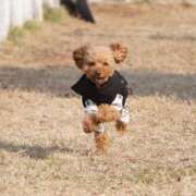 みあ 3月初出勤🌸 アラモード