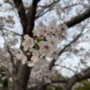 ヒメ日記 2026/04/05 22:59 投稿 みあ アラモード