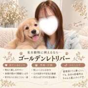 みあ ｵｵｼﾛｶﾗｶｻﾀｹ アラモード