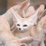 ヒメ日記 2026/01/22 18:23 投稿 かずみ ミセスコレクション