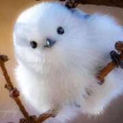 ヒメ日記 2026/01/22 18:54 投稿 かずみ ミセスコレクション