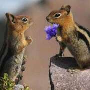 ヒメ日記 2026/01/27 15:13 投稿 かずみ ミセスコレクション