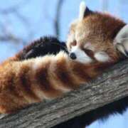 ヒメ日記 2026/01/27 15:23 投稿 かずみ ミセスコレクション