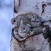 ヒメ日記 2026/01/27 22:43 投稿 かずみ ミセスコレクション