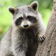 ヒメ日記 2026/02/05 09:55 投稿 かずみ ミセスコレクション