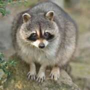 ヒメ日記 2026/02/05 10:00 投稿 かずみ ミセスコレクション