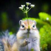 ヒメ日記 2026/02/05 17:29 投稿 かずみ ミセスコレクション