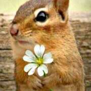 ヒメ日記 2026/02/05 17:33 投稿 かずみ ミセスコレクション