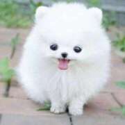 ヒメ日記 2026/02/05 17:38 投稿 かずみ ミセスコレクション