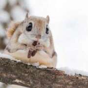 ヒメ日記 2026/02/05 17:47 投稿 かずみ ミセスコレクション