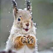 ヒメ日記 2026/02/05 18:07 投稿 かずみ ミセスコレクション