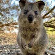 ヒメ日記 2026/02/13 13:01 投稿 かずみ ミセスコレクション