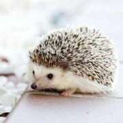 ヒメ日記 2026/02/13 13:06 投稿 かずみ ミセスコレクション