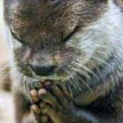 ヒメ日記 2026/02/13 13:17 投稿 かずみ ミセスコレクション