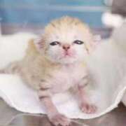 ヒメ日記 2026/02/26 14:13 投稿 かずみ ミセスコレクション