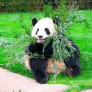 ヒメ日記 2026/02/26 20:43 投稿 かずみ ミセスコレクション