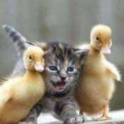 ヒメ日記 2026/02/26 21:05 投稿 かずみ ミセスコレクション