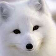 ヒメ日記 2026/02/27 17:23 投稿 かずみ ミセスコレクション