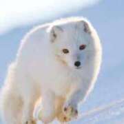 ヒメ日記 2026/03/04 14:13 投稿 かずみ ミセスコレクション