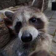 ヒメ日記 2026/03/06 15:42 投稿 かずみ ミセスコレクション