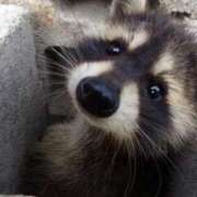 ヒメ日記 2026/03/06 15:46 投稿 かずみ ミセスコレクション