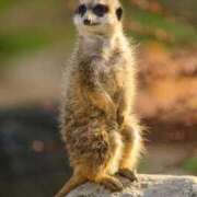 ヒメ日記 2026/03/09 09:03 投稿 かずみ ミセスコレクション