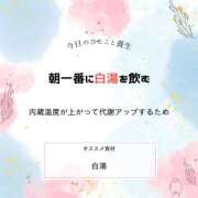 ヒメ日記 2024/12/05 09:51 投稿 いわさき 人妻熟女の館　鶯谷店