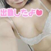 ヒメ日記 2025/04/19 18:29 投稿 せせり 錦糸町ぽちゃカワ女子専門店！我慢できないの！