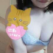 ヒメ日記 2025/07/14 16:47 投稿 せせり 錦糸町ぽちゃカワ女子専門店！我慢できないの！