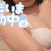 ヒメ日記 2025/08/23 14:46 投稿 せせり 錦糸町ぽちゃカワ女子専門店！我慢できないの！