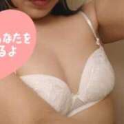 ヒメ日記 2026/02/14 17:01 投稿 せせり 錦糸町ぽちゃカワ女子専門店！我慢できないの！