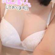 ヒメ日記 2026/03/01 17:52 投稿 せせり 錦糸町ぽちゃカワ女子専門店！我慢できないの！