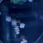 ヒメ日記 2025/02/20 18:14 投稿 れおな One More奥様　蒲田店